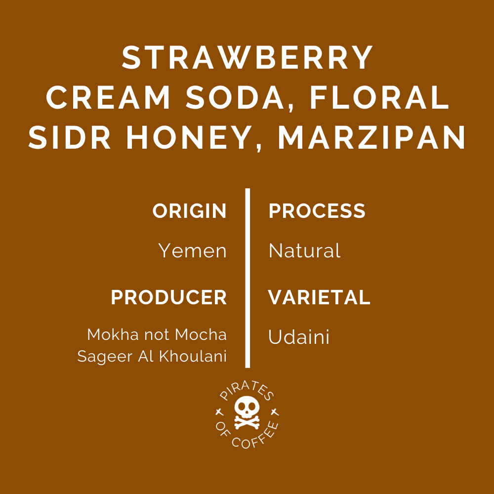 YEMEN SAGEER AL KHOULANI: Natural