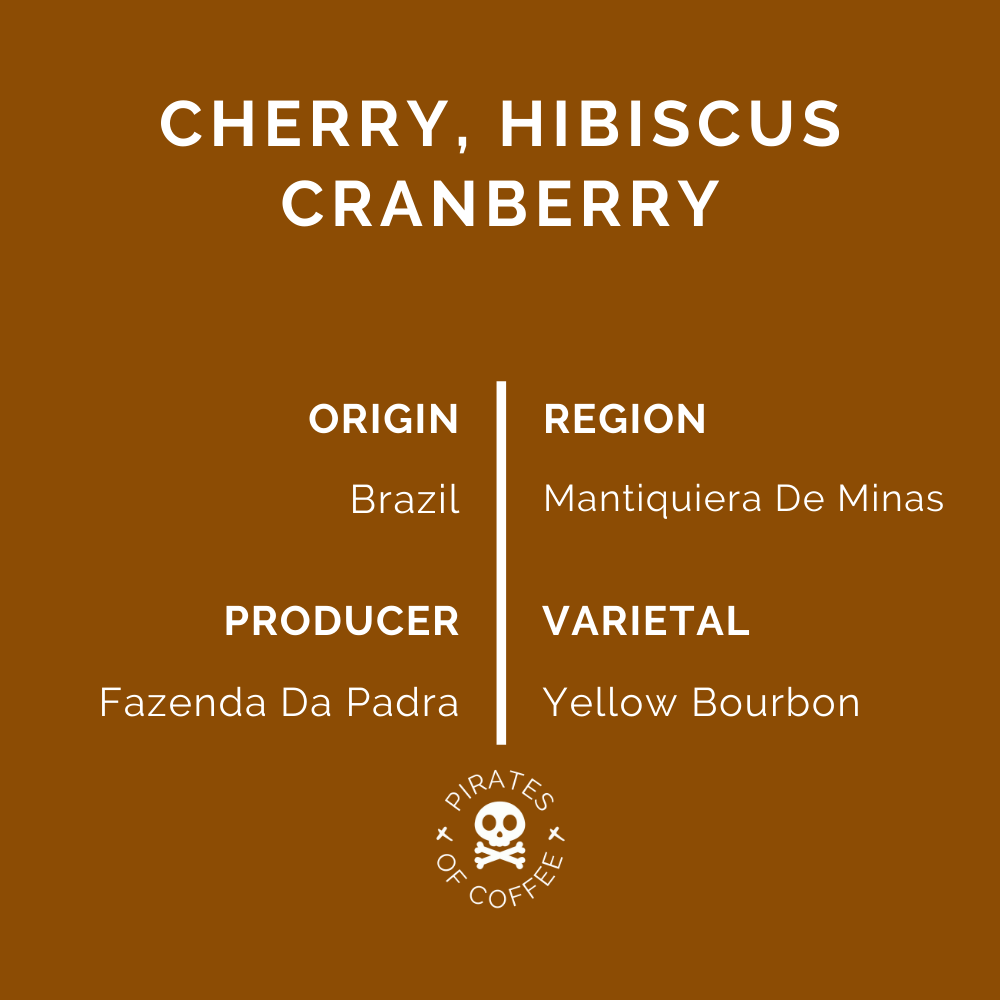 CASCARA: Brazil Coffee Pulp Tea