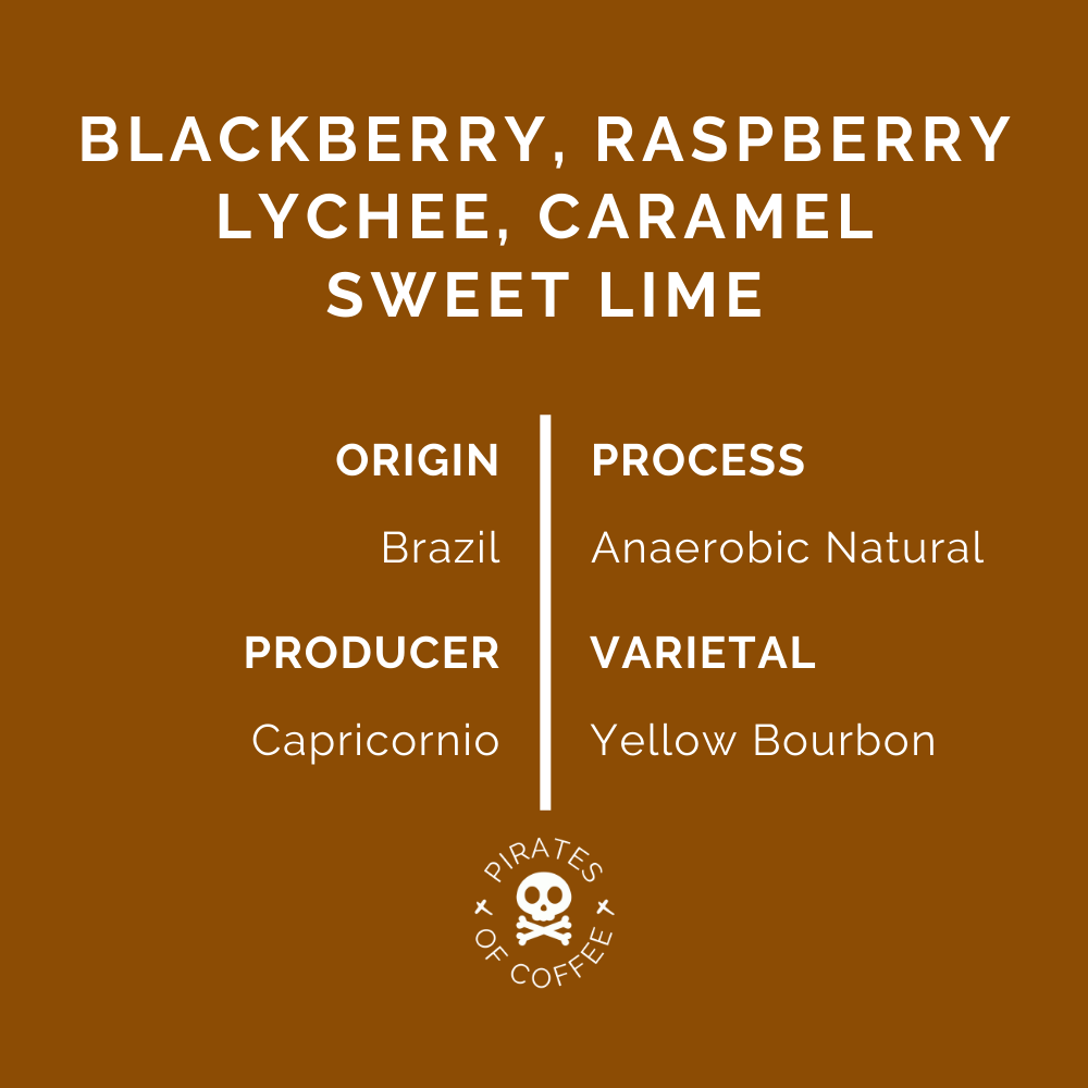 AMAZONIA: Brazil Anaerobic