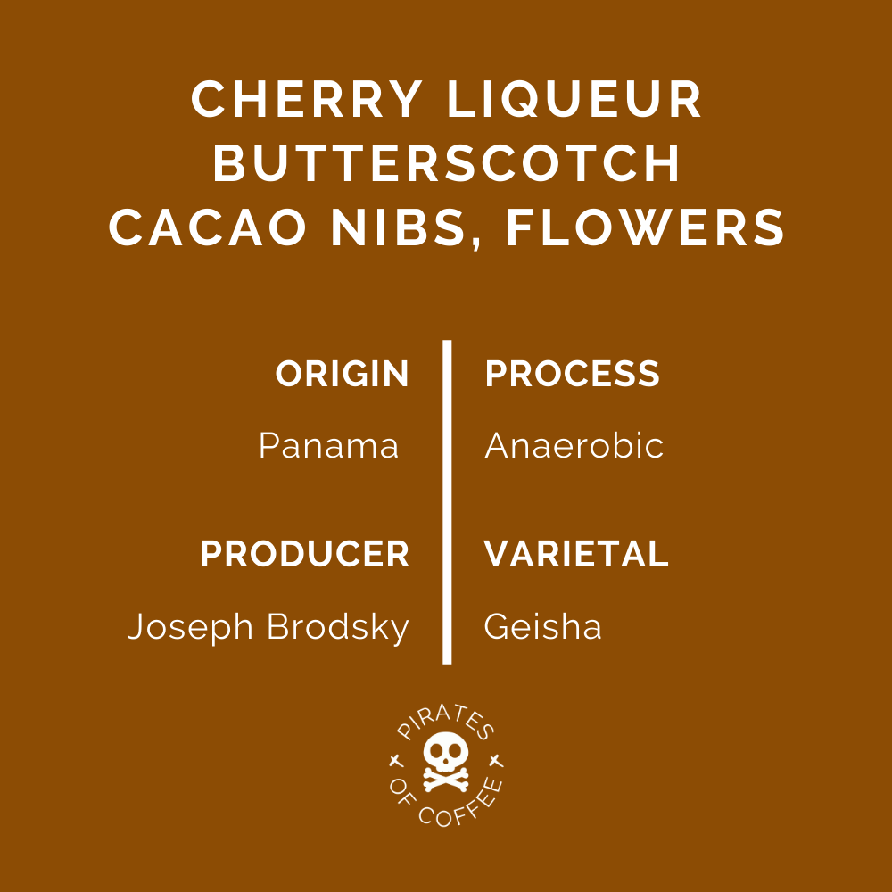 CHERRY COLA GEISHA 90+: Panama Anaerobic