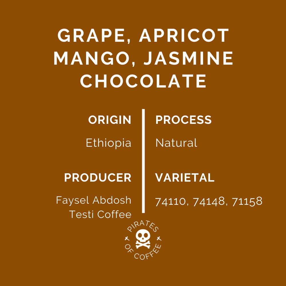 FRUIT BOMBE: Ethiopia Ayla Bombe Natural