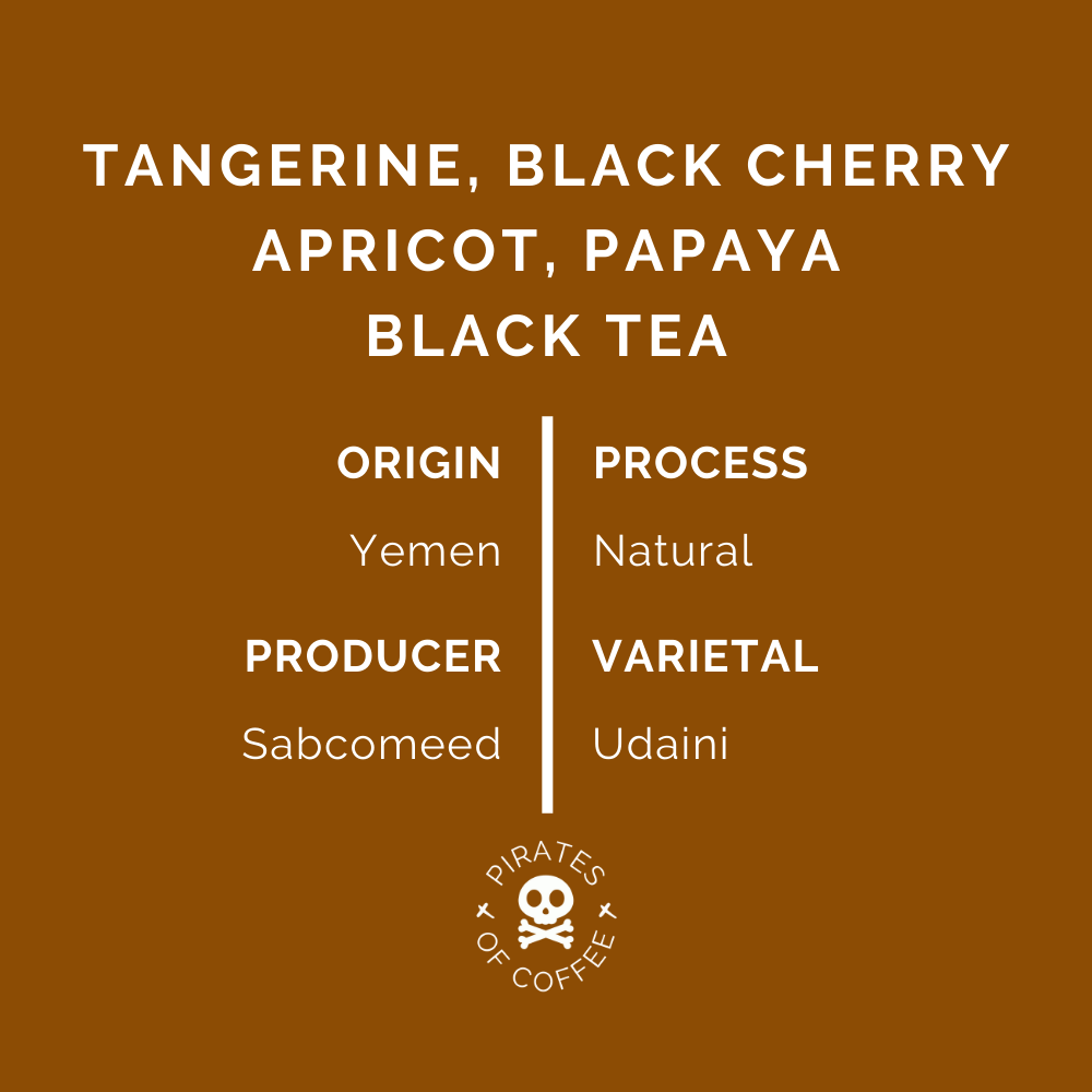 2022 PHILOSOPHY: Yemen Natural