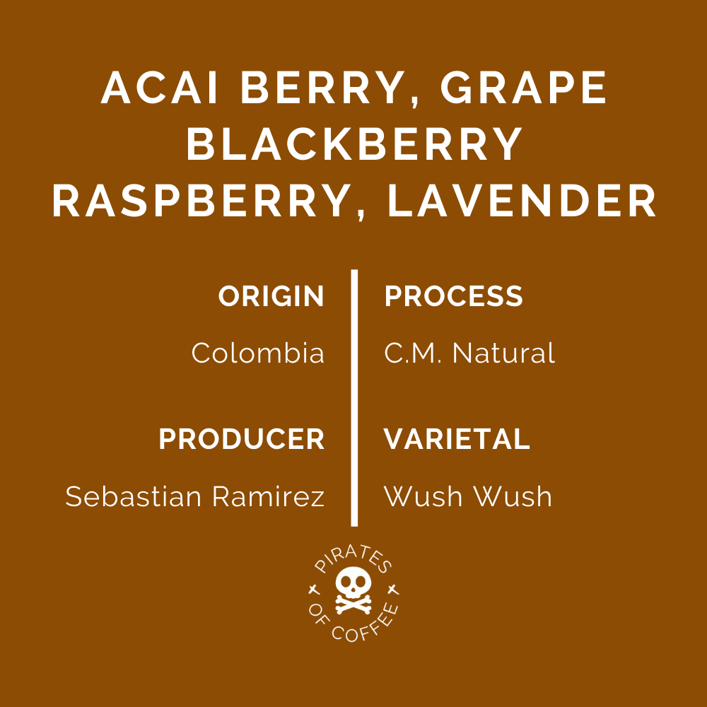 ACAI: Colombia Wush Wush CM