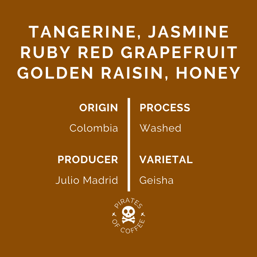 GESHIE: Colombia Geisha Washed