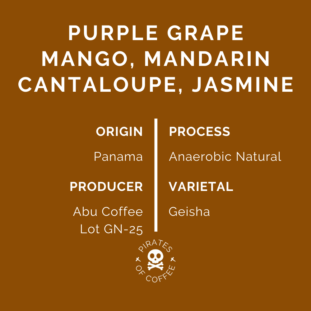 GN-25 GEISHA: Panama Abu Coffee Anaerobic Natural