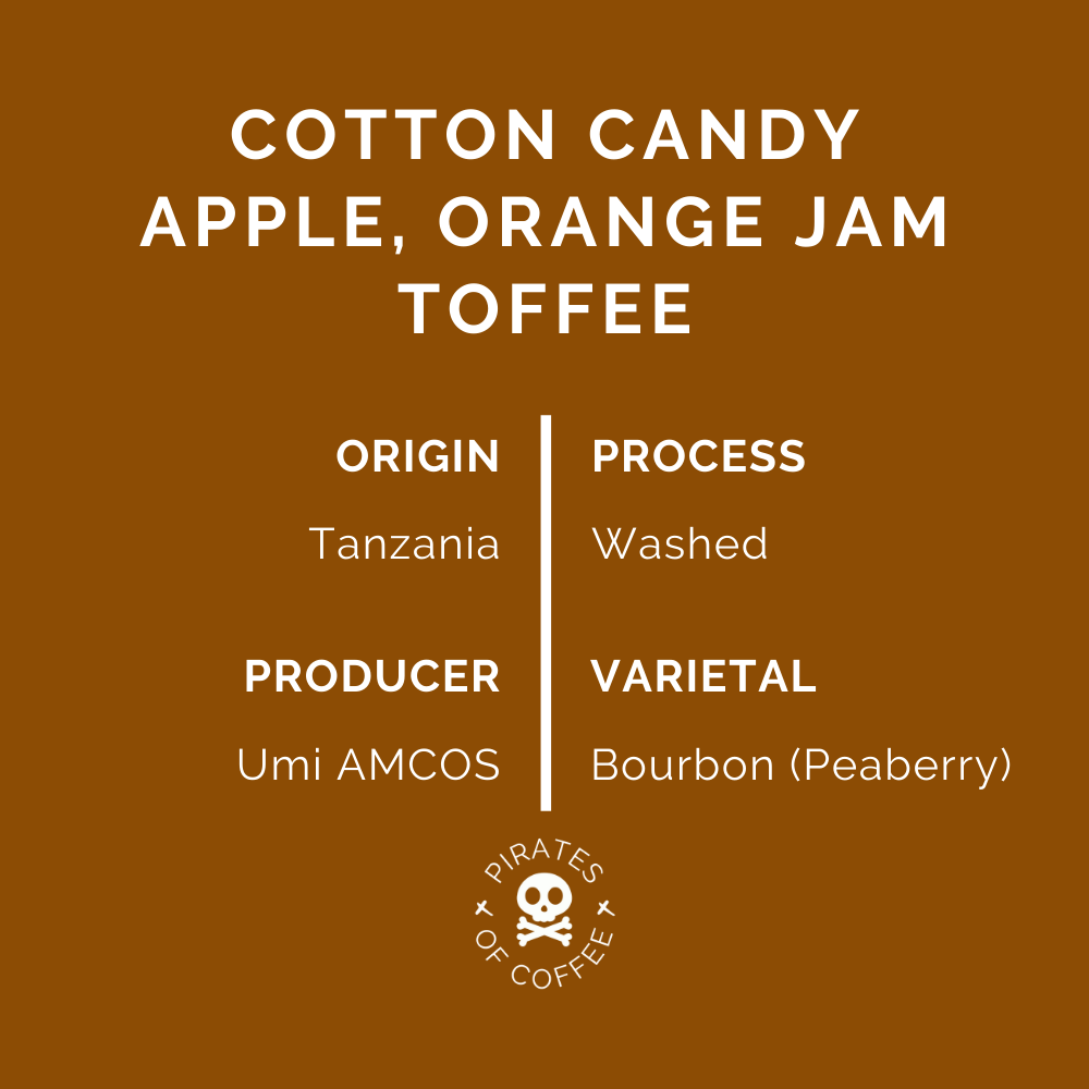 MASAI: Tanzania Peaberry Washed 2023