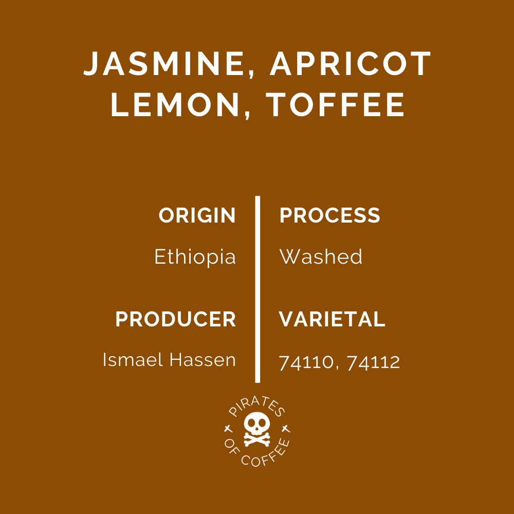 ISMAEL HASSEN: Ethiopia Shakiso Guji