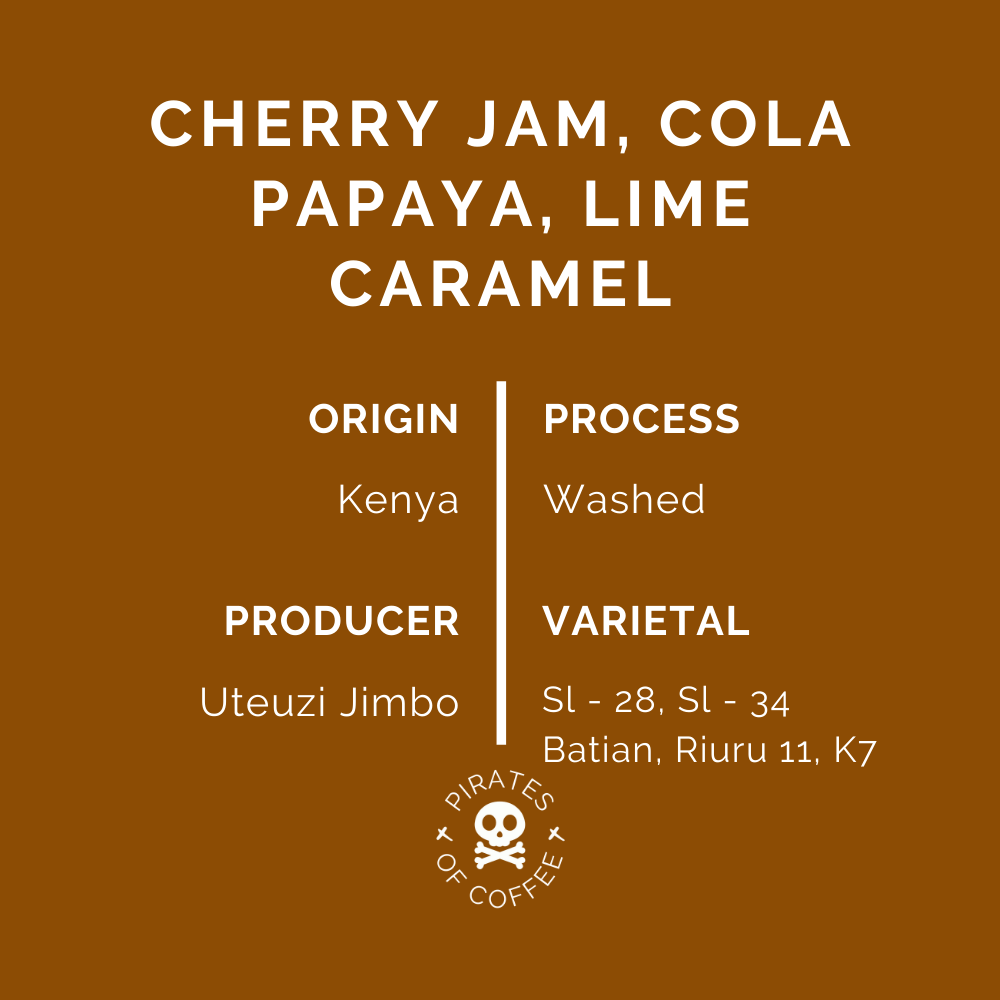 NYERI: Kenya AA Washed