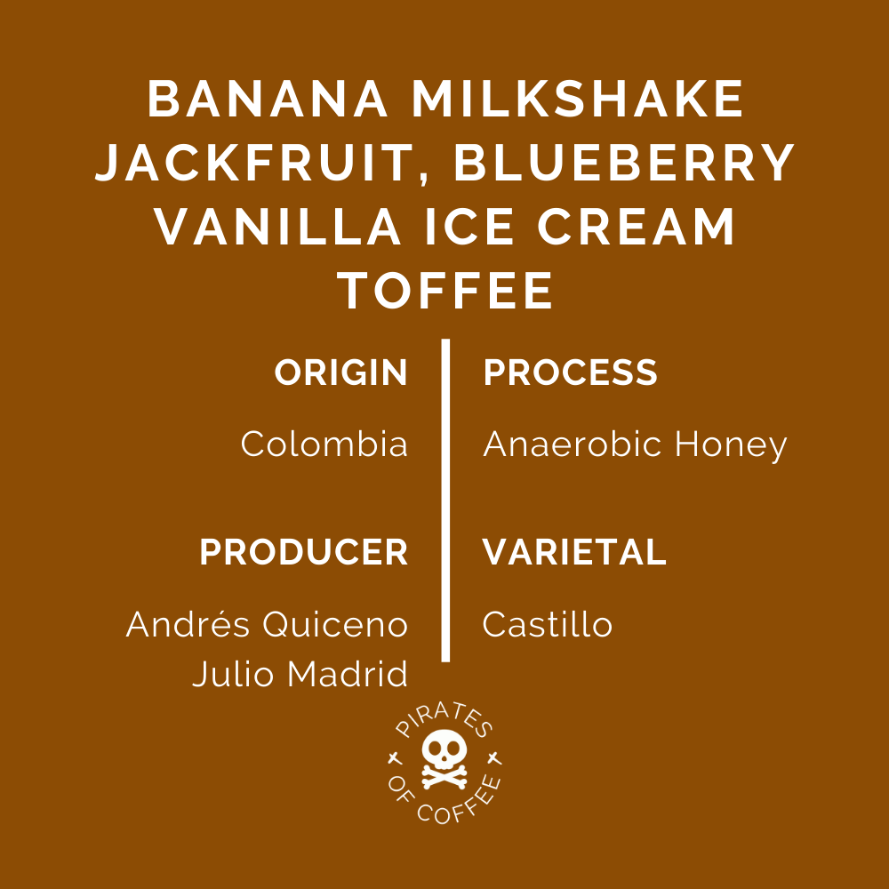 SMOOTHIE ESPRESSO: Colombia Anaerobic Honey 2022