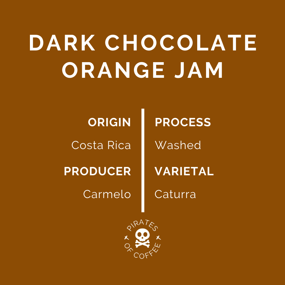 JAFFA CAKE: Costa Rica Tarrazu