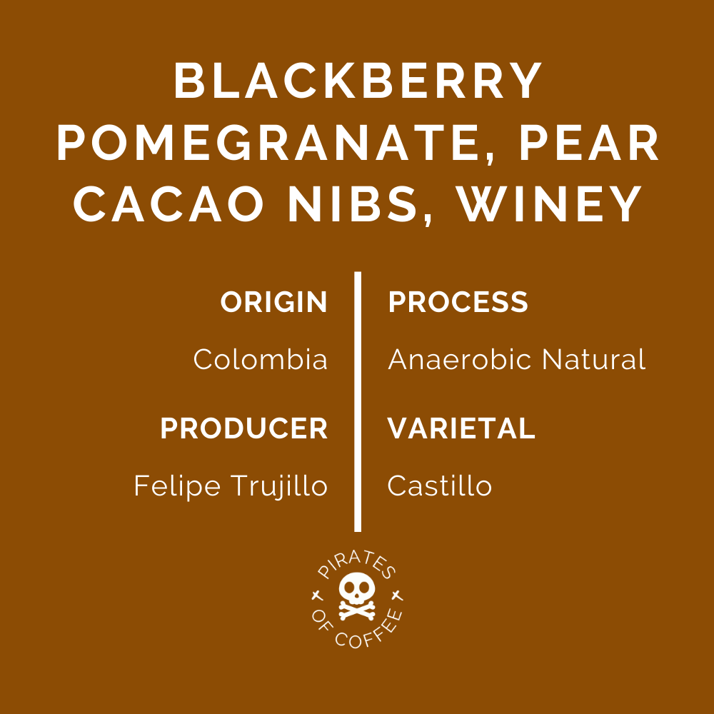 VERANILLO: Colombia Anaerobic Natural