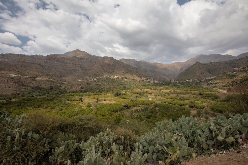 YEMEN SAGEER AL KHOULANI AA