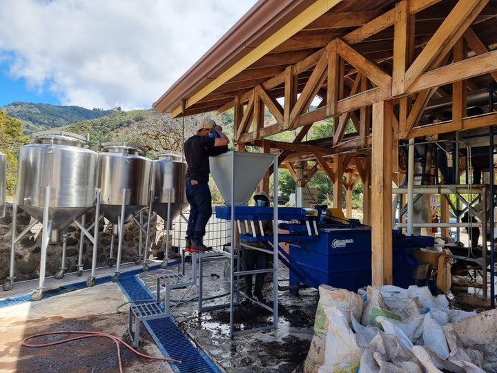 TAKARA GESHA: Costa Rica Anaerobic Honey