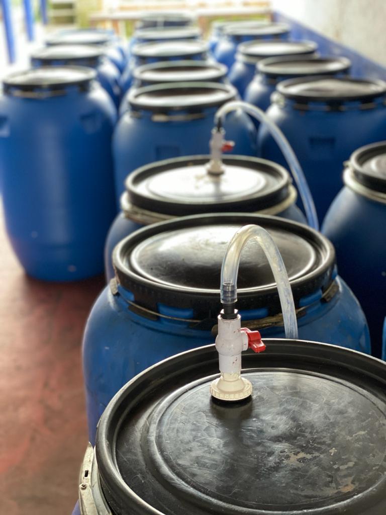 HADŌKEN: Colombia Anaerobic Honey