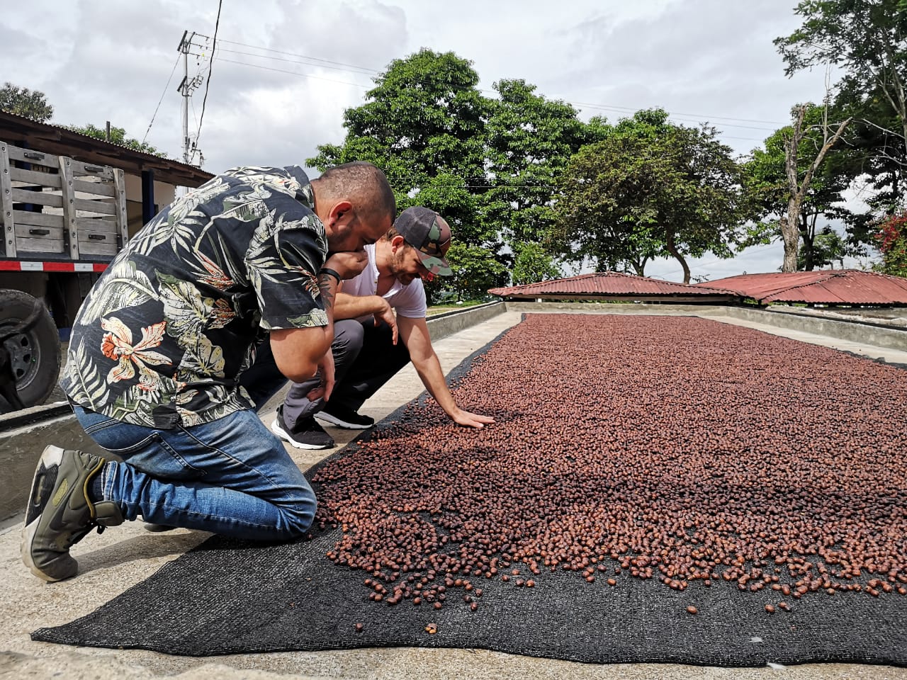 BLACKBERRY SUNDAE: Colombia Co-Ferment Honey + Thermal Shock