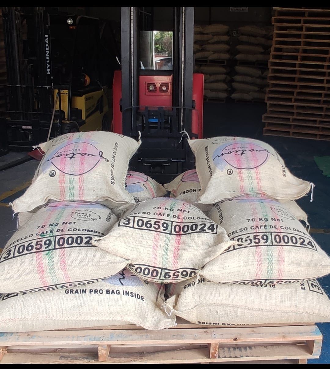 EL PIRATA: Colombia Tolima