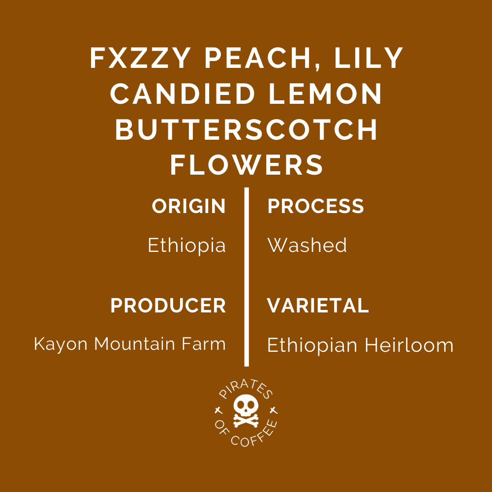 FXZZY PEACH: Ethiopia Kayon Mountain Washed