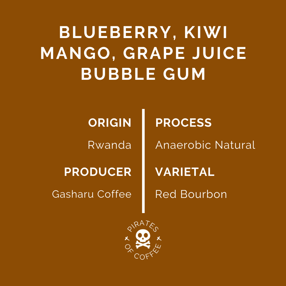 BUBBLE GUM RW: Rwanda Anaerobic Natural