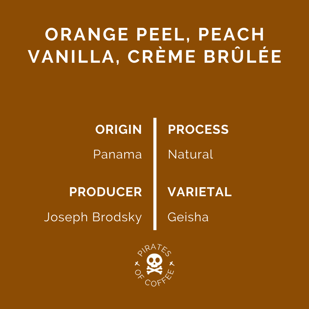 JULIETTE GEISHA 90+: Panama Ninety Plus