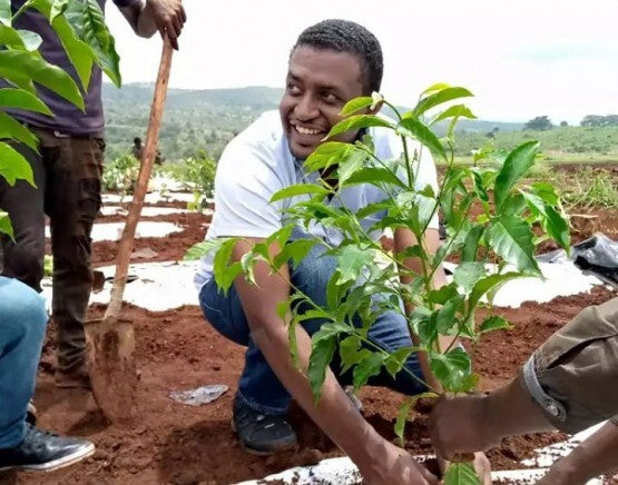 CHERRY COLA: Ethiopia Yirgacheffe