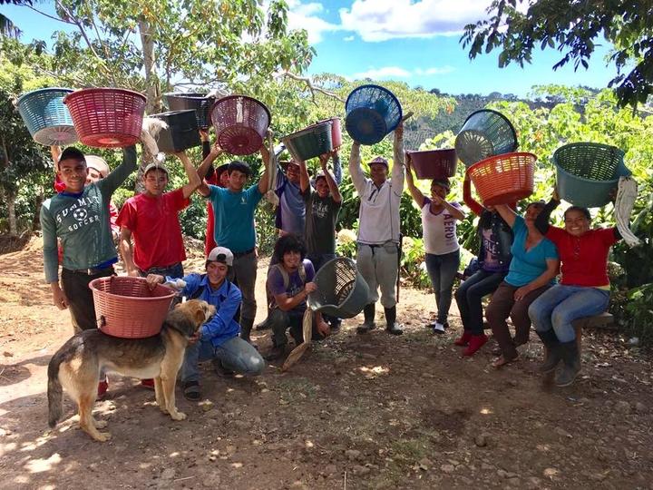 LAVA CAKE: Costa Rica, Honey Process