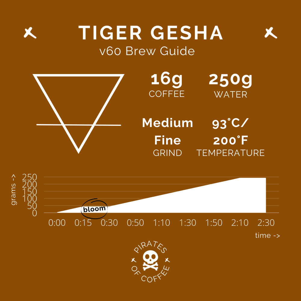TIGER GESHA: Costa Rica Anaerobic Natural