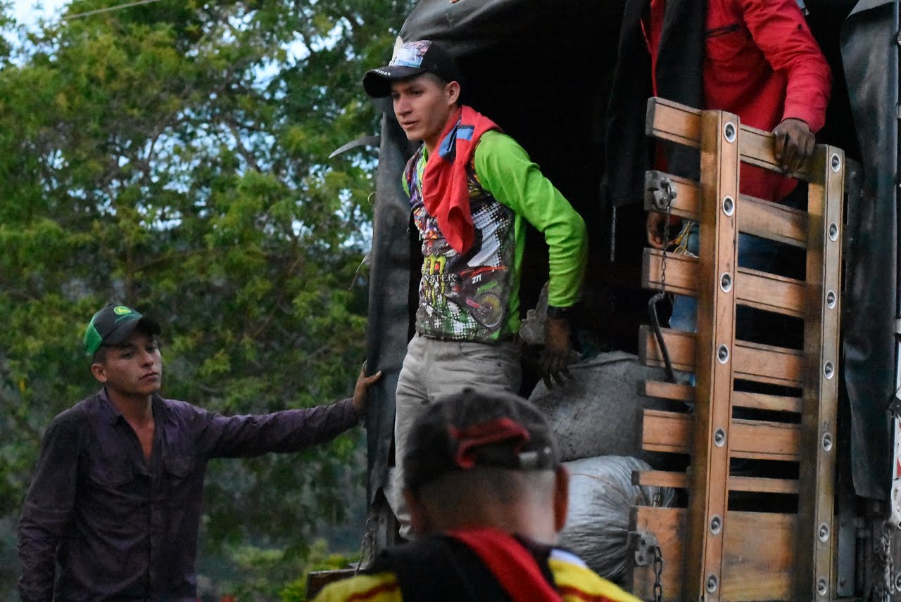 BROWNIE DECAF: Colombia Huila