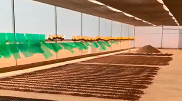 AMAZONIA: Brazil Anaerobic