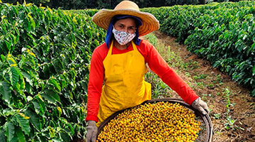 SOUL: Brazil Cold Soul Natural