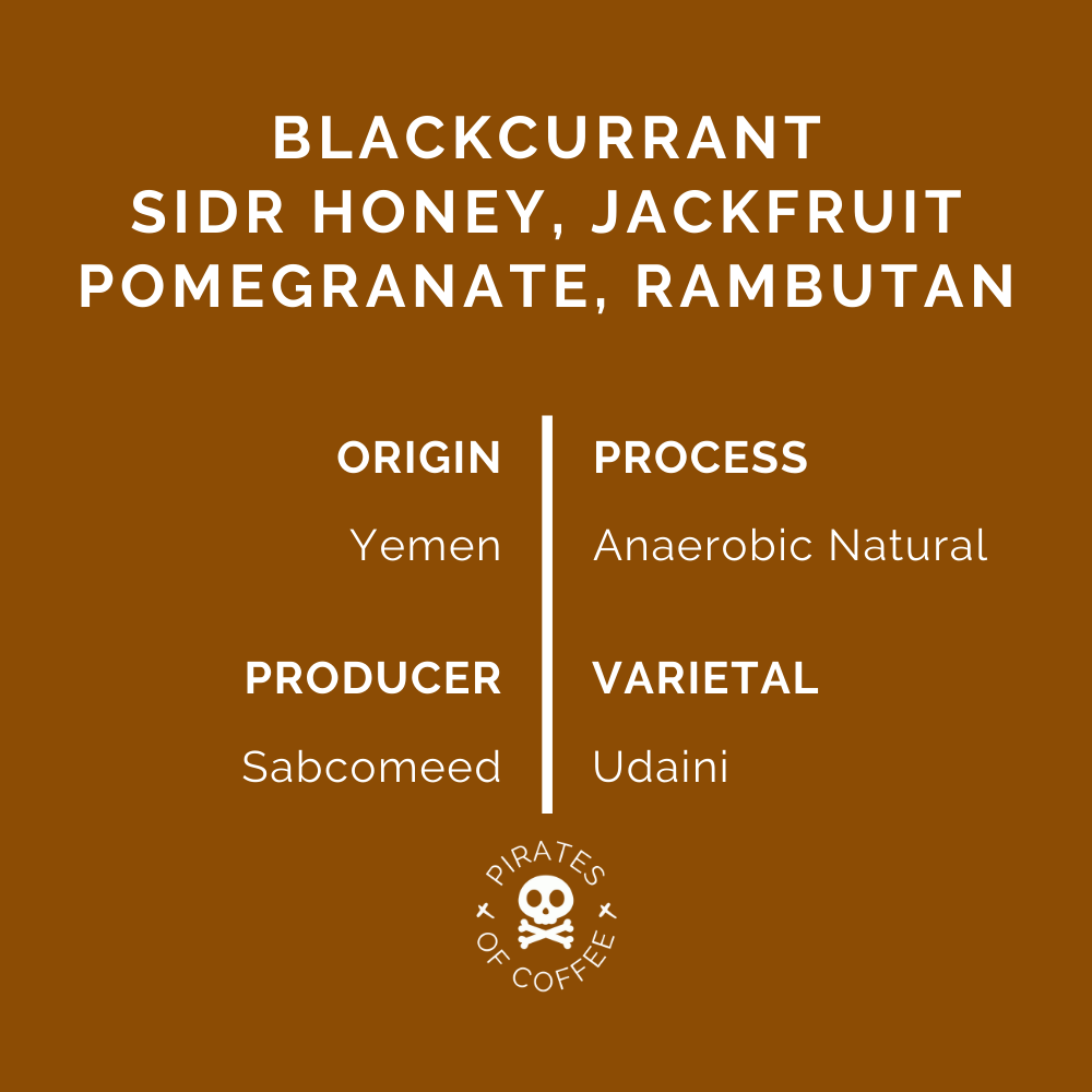 YEMEN AL SANA'A: Anaerobic Natural AA