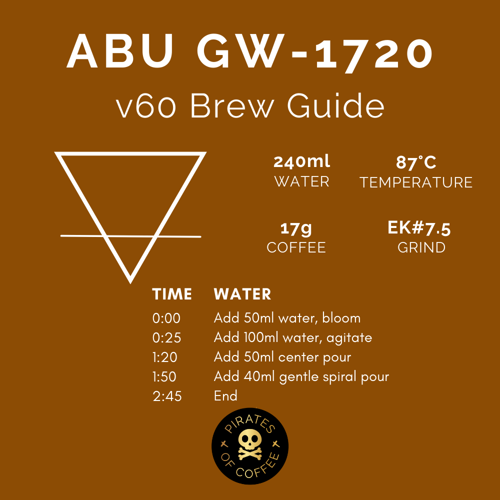 ABU GW-1720 GEISHA: Panama Anaerobic Washed