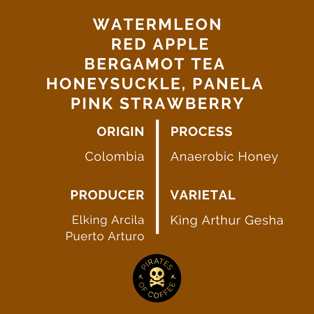 AERIA GESHA: Colombia Anaerobic Honey