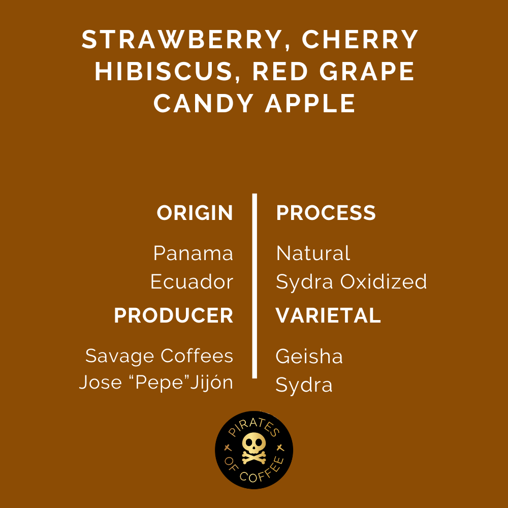 BEAT THE ALGORITHM: Red Competition Blend