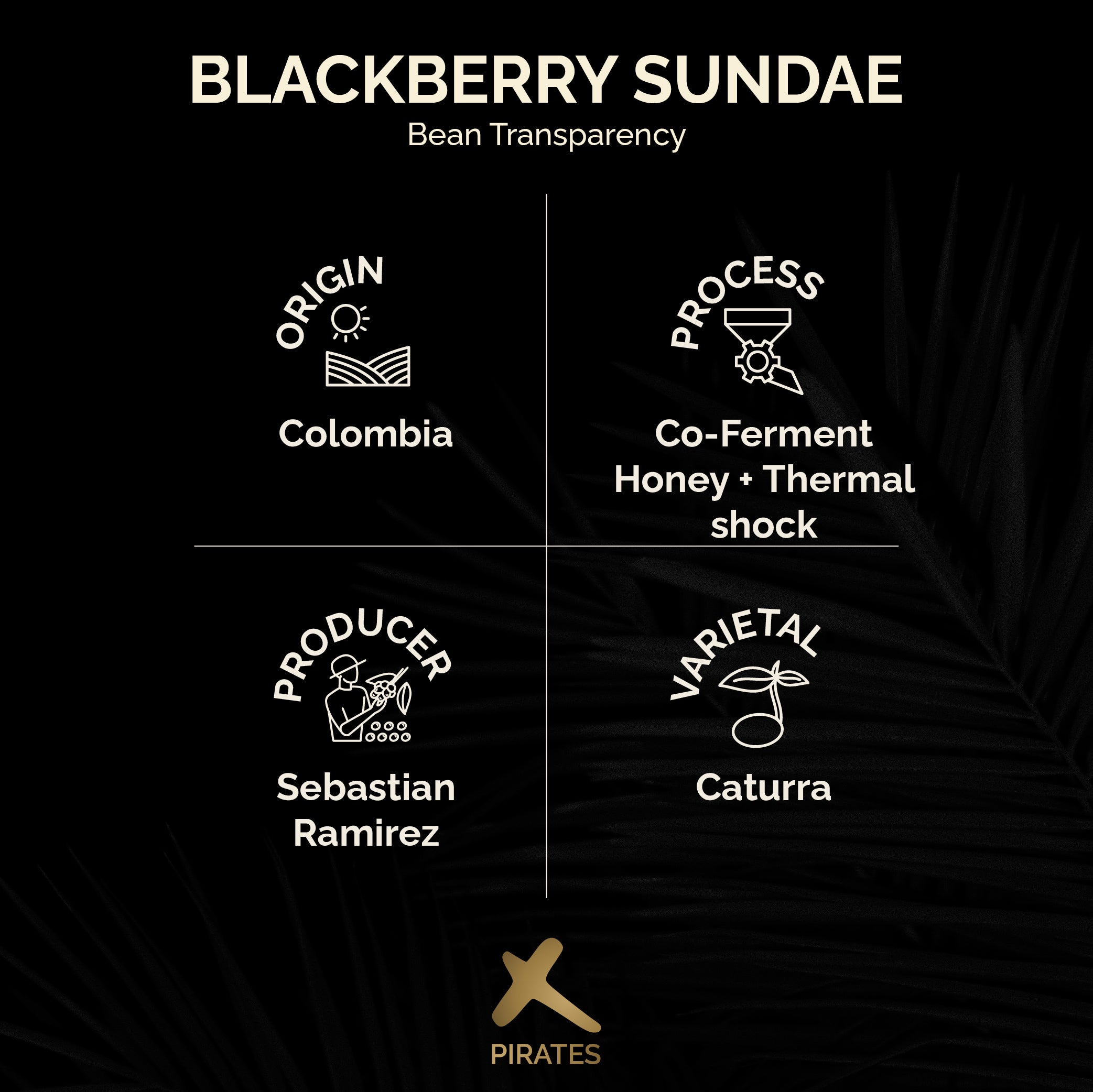 BLACKBERRY SUNDAE: Colombia Co-Ferment Honey + Thermal Shock