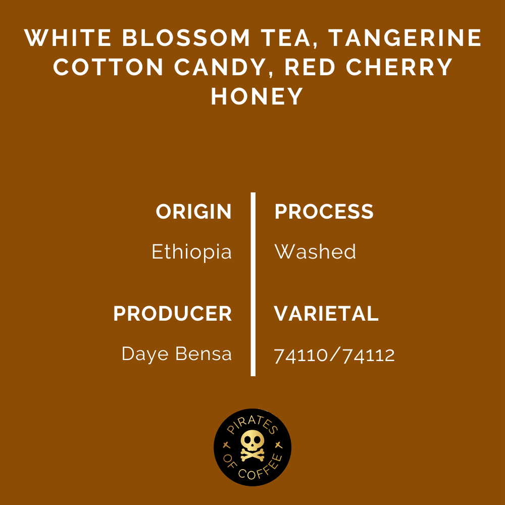 BLOOM: Daye Bensa Abore Washed