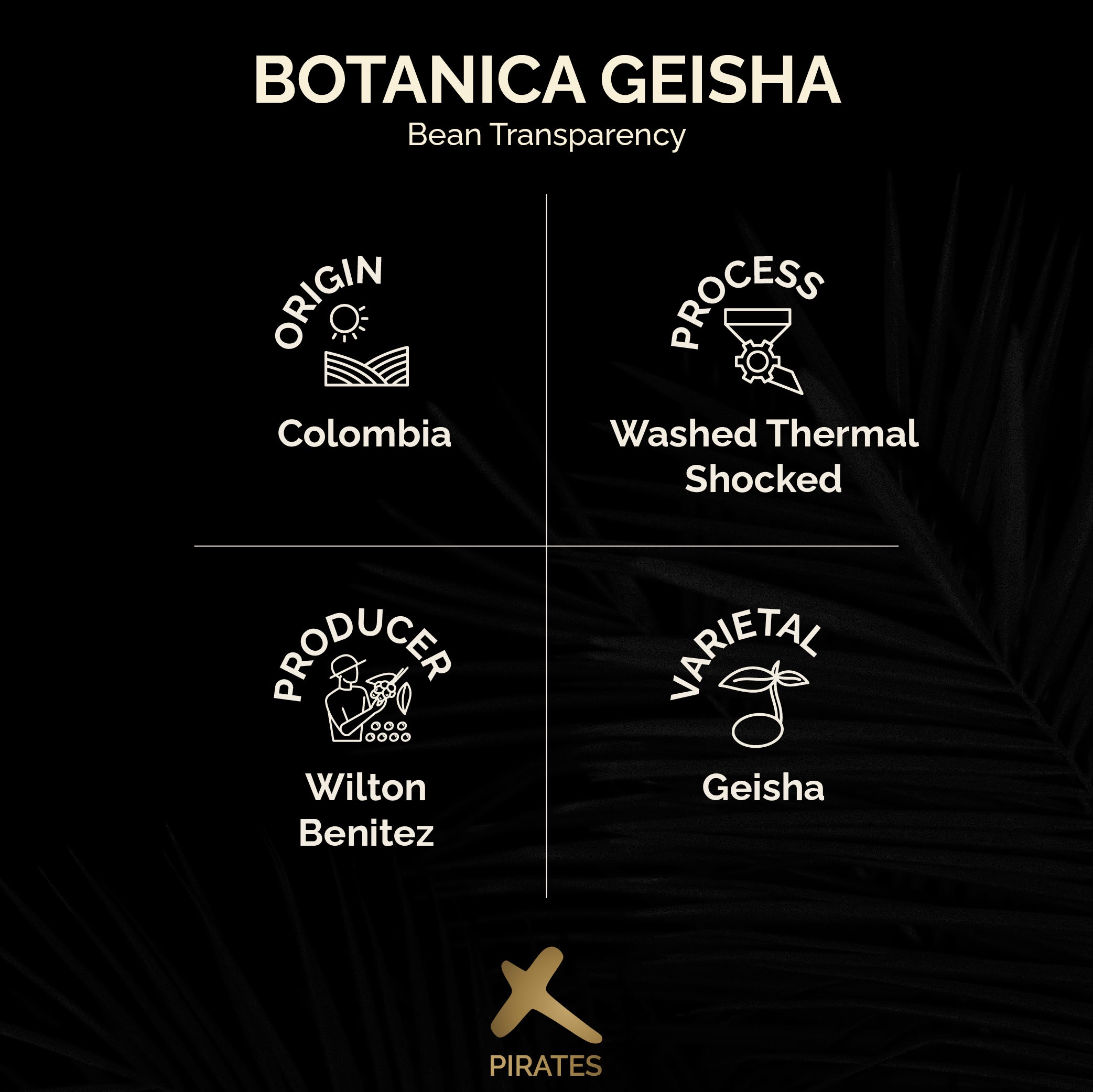 BOTANICA GEISHA: Colombia El Paraiso 92 Geisha