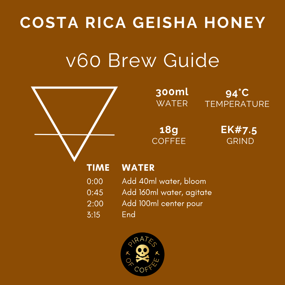 COSTA RICA GEISHA HONEY: Coffea Diversa Queen Geisha