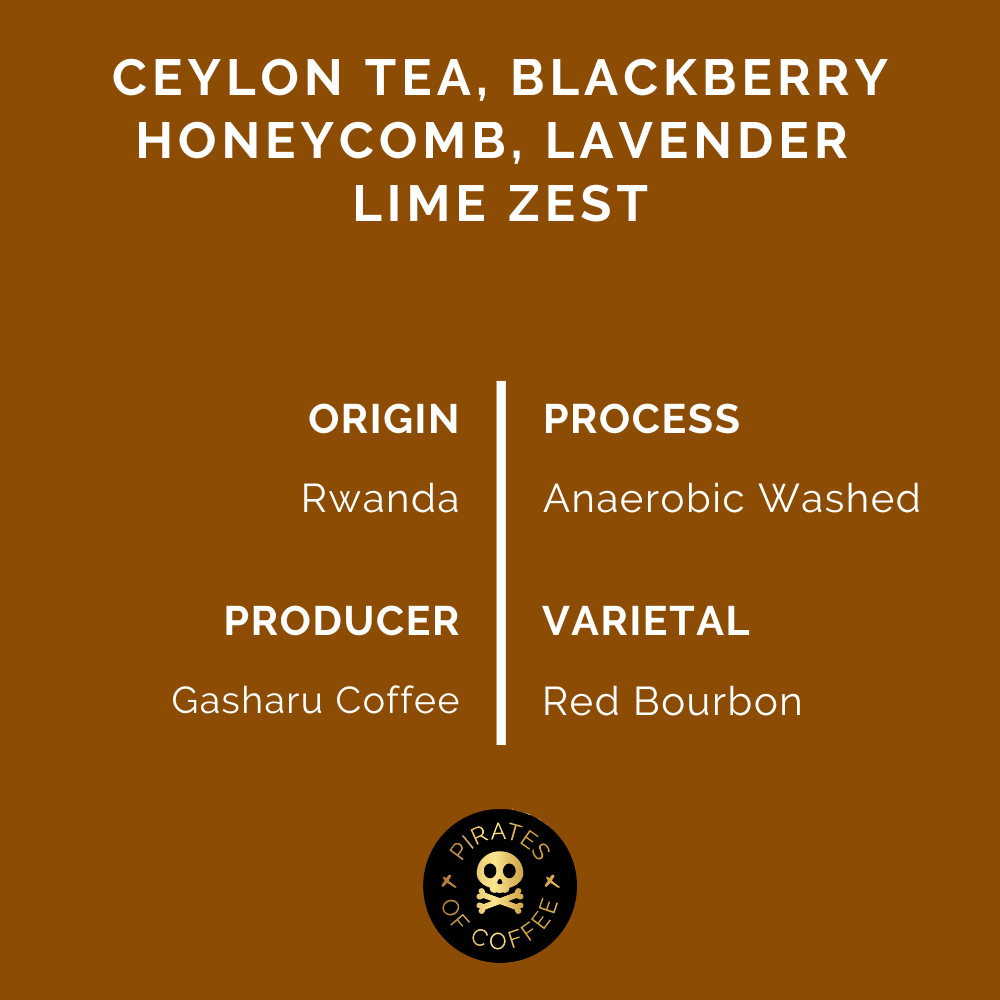 CROWN JEWEL: Rwanda Anaerobic Washed