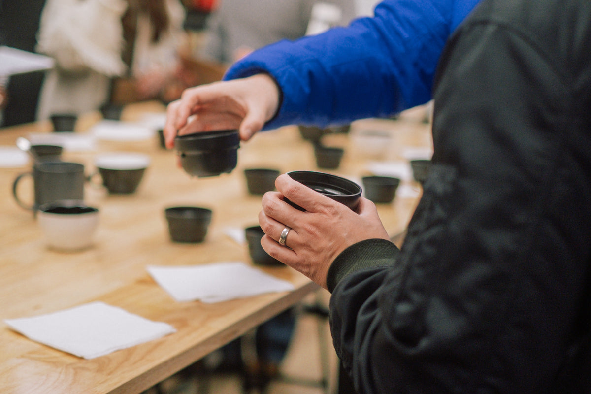 COFFEE CUPPING: Sensory Experience
