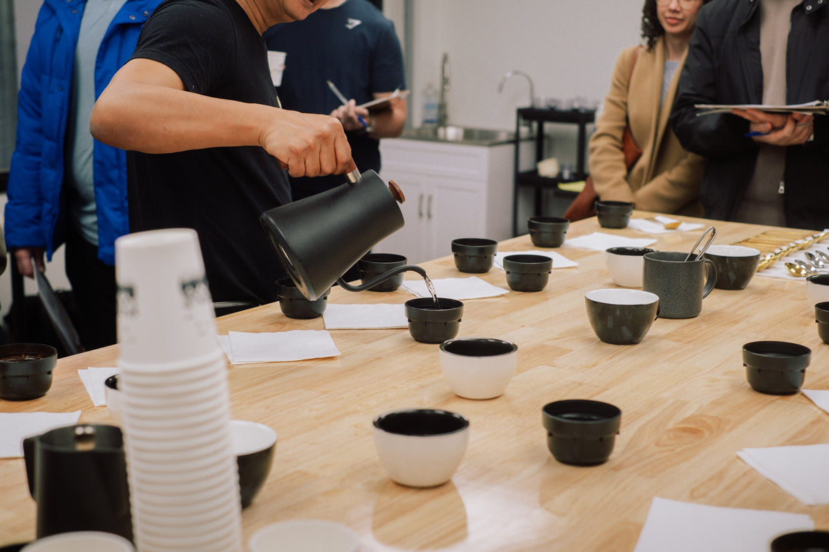 COFFEE CUPPING: Sensory Experience