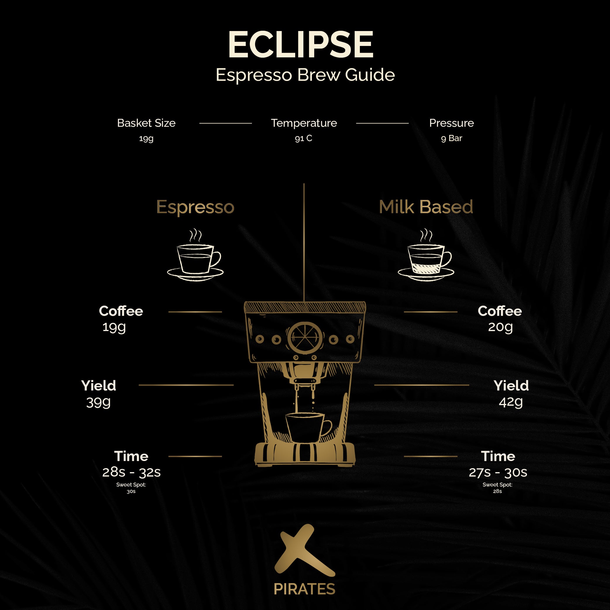 ECLIPSE: Dark Roast Blend