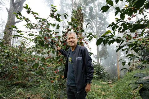 LAMASTUS GEISHA LOT #16: Panama El Burro Natural