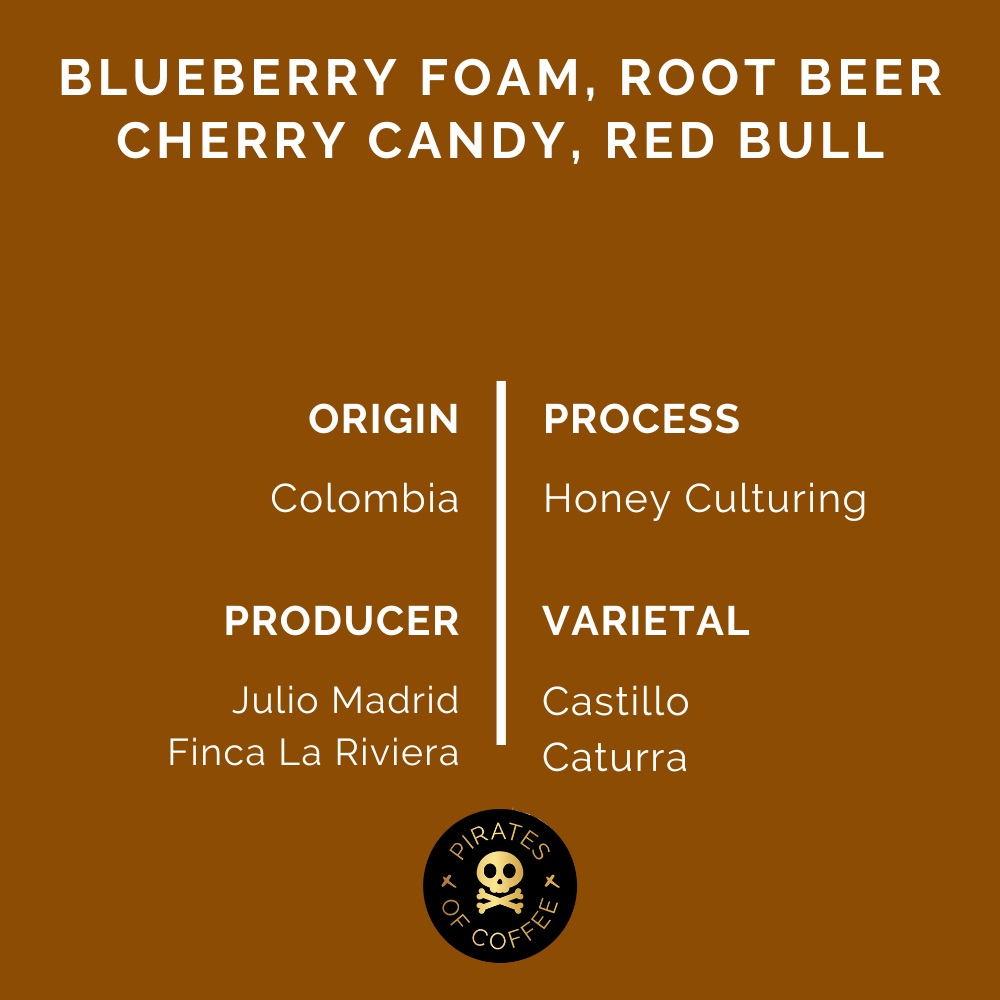 ELIXIR ESPRESSO: Colombia Honey Culturing