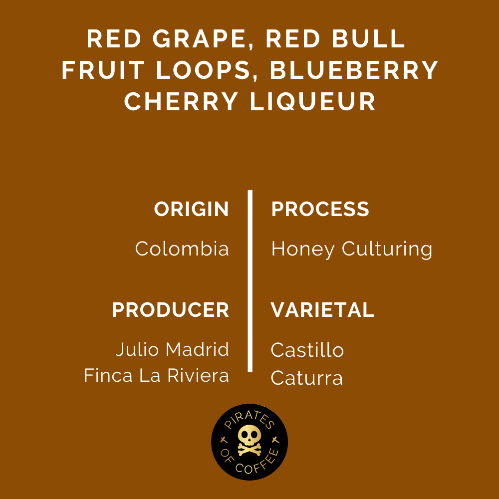 ELIXIR: Colombia Honey Culturing