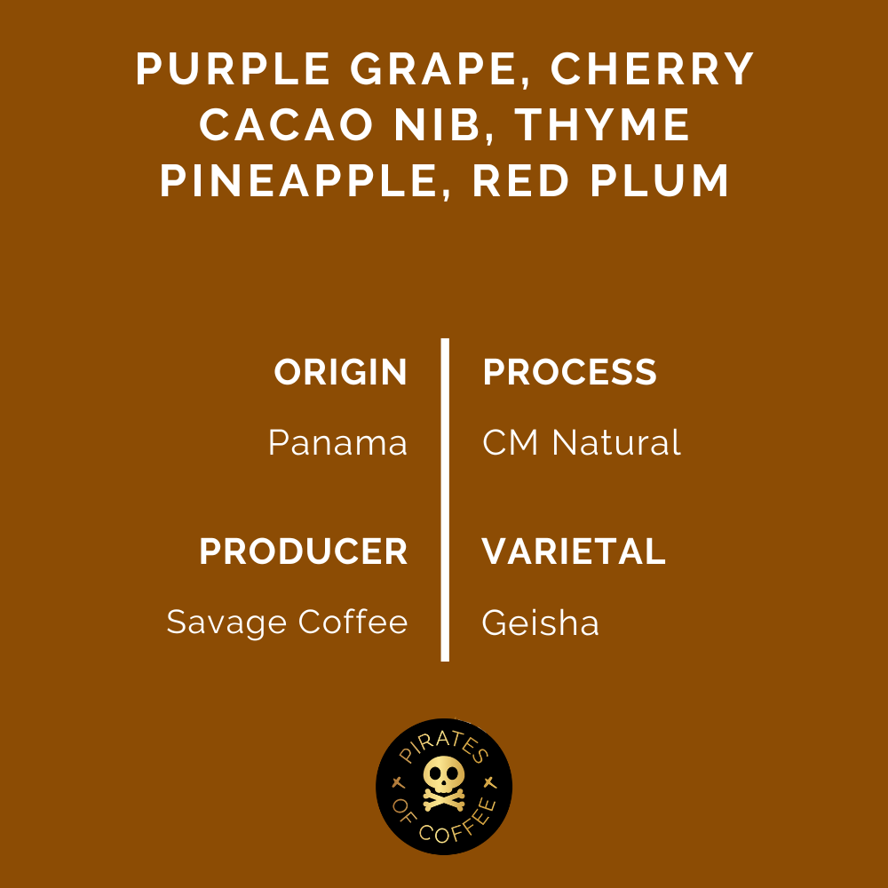 ENIGMA GEISHA: Savage Carbonic Maceration Natural