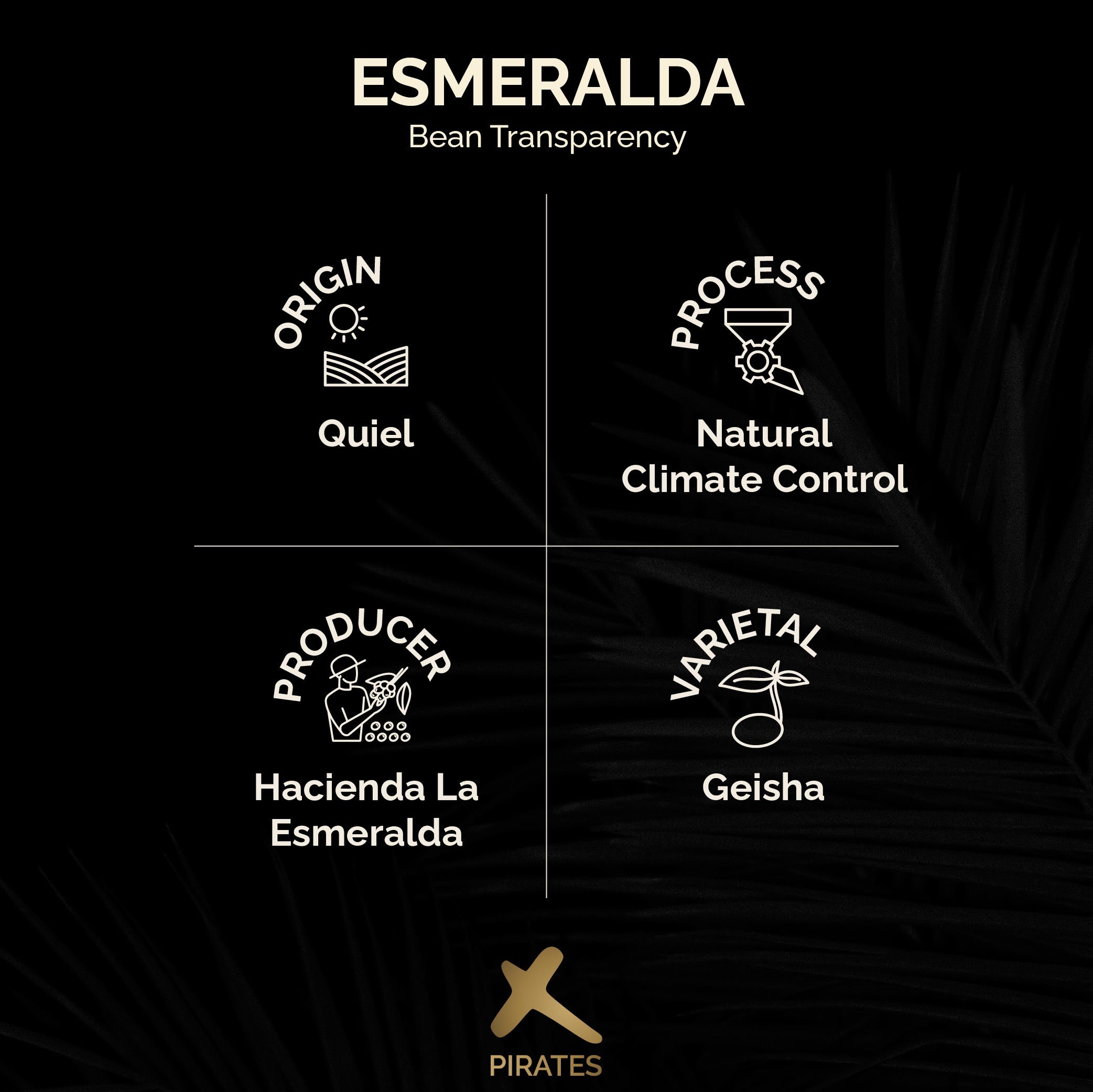 ESMERALDA GUABO 8 GEISHA: Panama Natural Climate Control