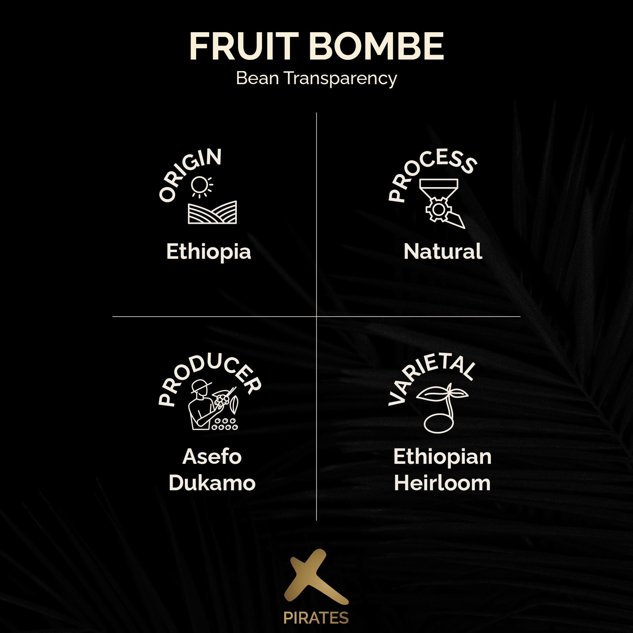 FRUIT BOMBE: Ethiopia Natural