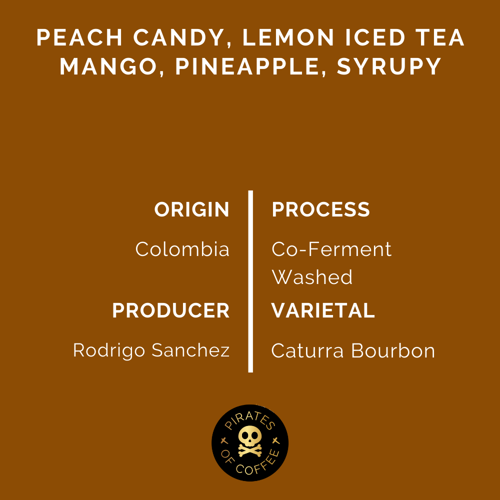 FXZZY PEACH: Colombia Co-Ferment Washed