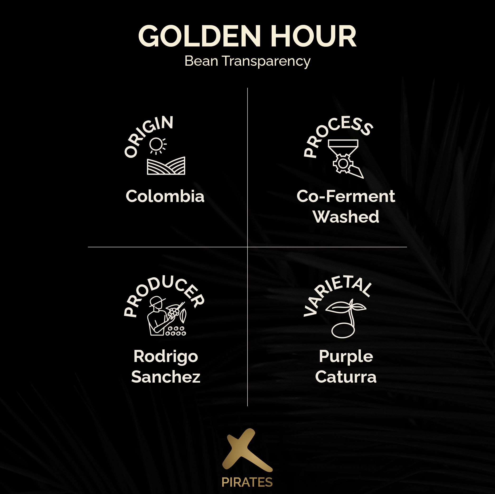 GOLDEN HOUR: Colombia Co-Ferment Washed
