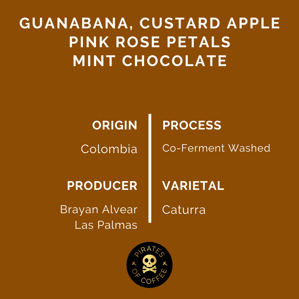 GUANABANA ESPRESSO: Colombia Co-Ferment Washed